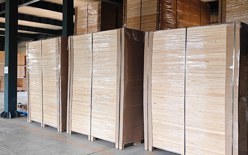 How should paulownia furniture be maintained?