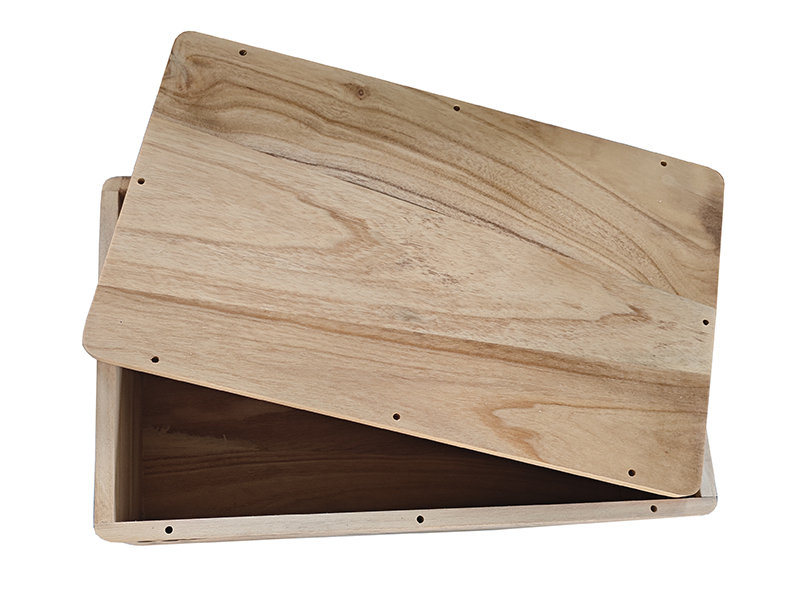 What is the market prospect of paulownia coffins?